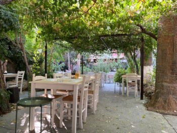 Kavun specialty coffee Zamalek