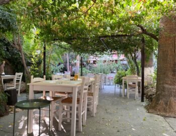 Kavun – كافون