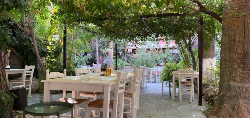 Kavun specialty coffee Zamalek