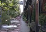 Social Specialty Coffee – سوشال