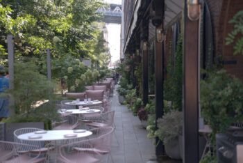 Social Specialty Coffee Zamalek