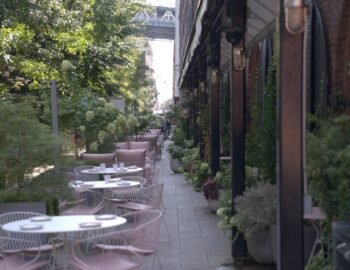 Social Specialty Coffee – سوشال