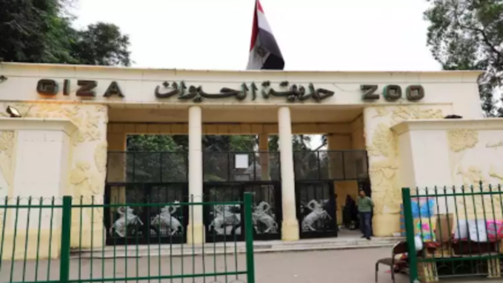حديقة حيوان الجيزة