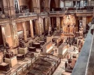 Egyptian-Natural-History-Museum-متحف-التاريخ-الطبيعي-المصري
