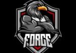 Force-Gym