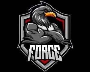 Force-Gym