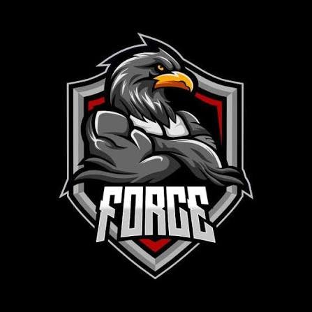 Force-Gym