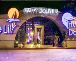 Happy-Dolphin-هابي-دولفين