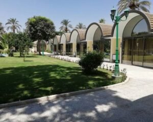 Oasis-Hotel-فندق-الواحة